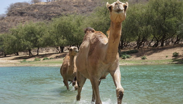 Ruta privada de senderismo por el valle de Darbat - Foto 2