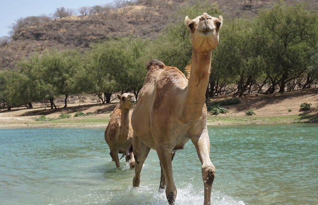 Ruta privada de senderismo por el valle de Darbat - Foto 2