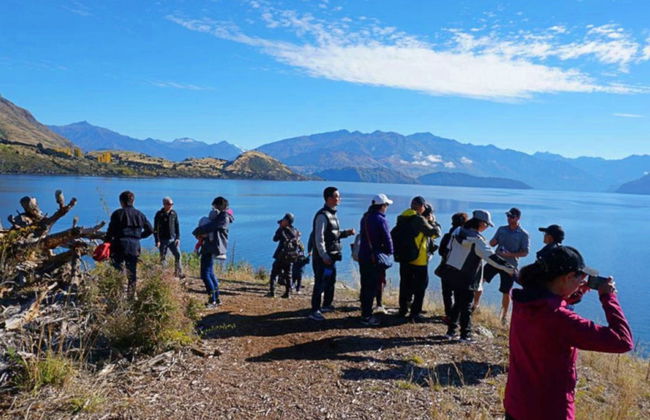 Balade en bateau autour des îles du lac Wanaka - Photo 6
