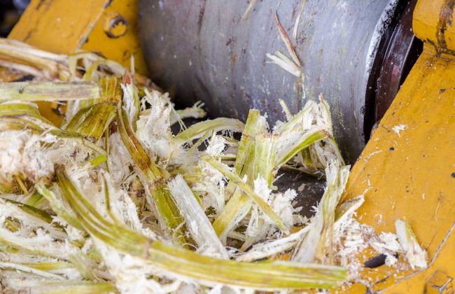 Oxapampa 2 Day Tour - Photo 7