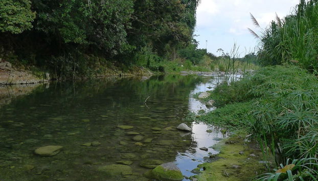 Excursión a un pueblo cimarrón - Foto 3