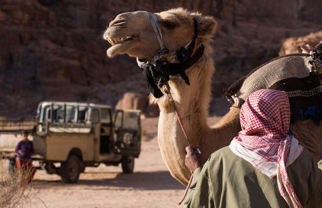 Aqaba Private Tour & Wadi Rum Jeep Safari - Photo 3