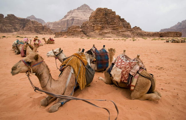 Aqaba Private Tour & Wadi Rum Jeep Safari - Photo 2