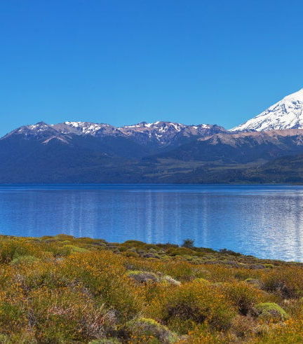 Foto de Excursión al Lago Huechulafquen y Volcán Lanín