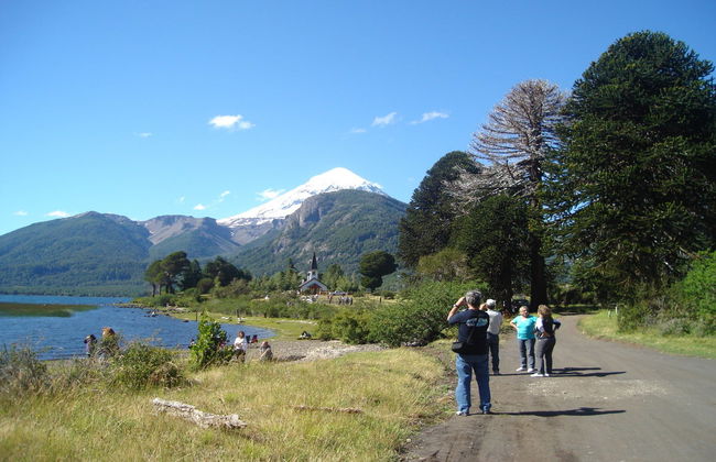 Escursione al Lago Huechulafquen e al vulcano Lanín - Foto 1