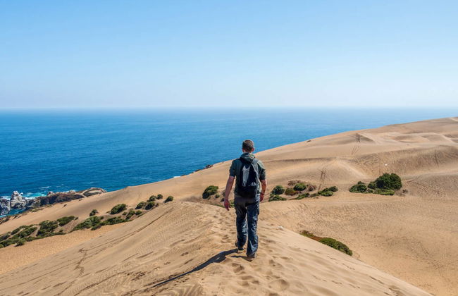 Sandboard sur les dunes de Concón - Photo 7
