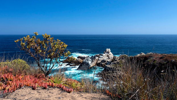 Sandboarding auf den Dünen von Concón - Foto 5