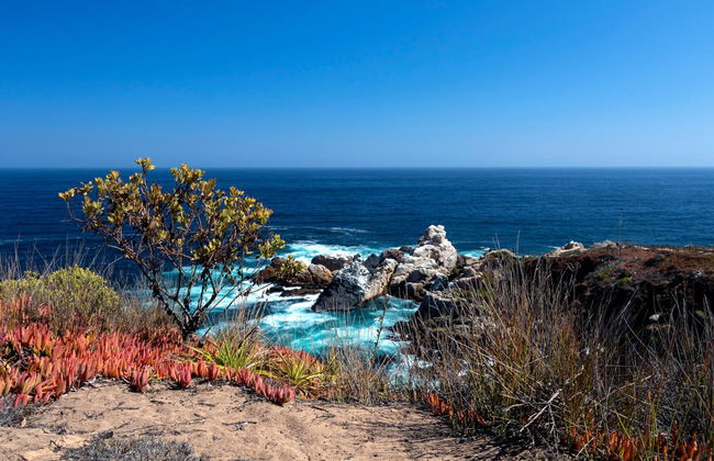Sandboard sur les dunes de Concón - Photo 5