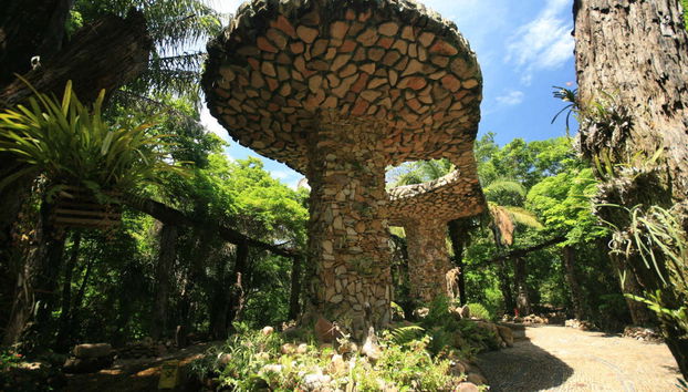 Excursión al Biocentro Güembé - Foto 3