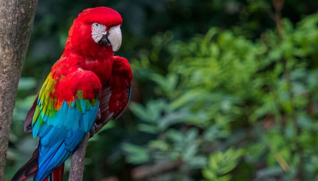 Excursión al Biocentro Güembé - Foto 4