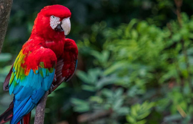 Escursione al Biocentro Güembé - Foto 3