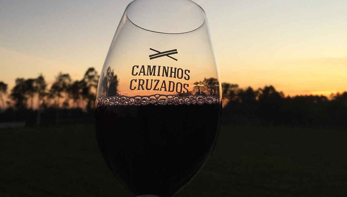 Visite du vignoble Caminhos Cruzados - Photo 1