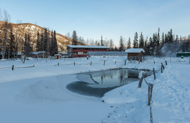Excursión a las aguas termales de Chena - Foto 6