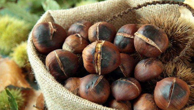 Visita a Marron Oficina da Castanha - Foto 2