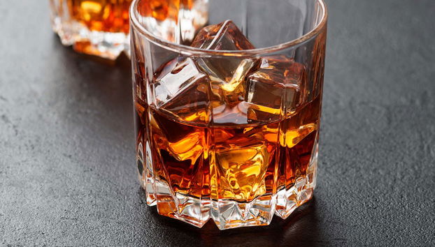 Visita a Marron Oficina da Castanha - Foto 3