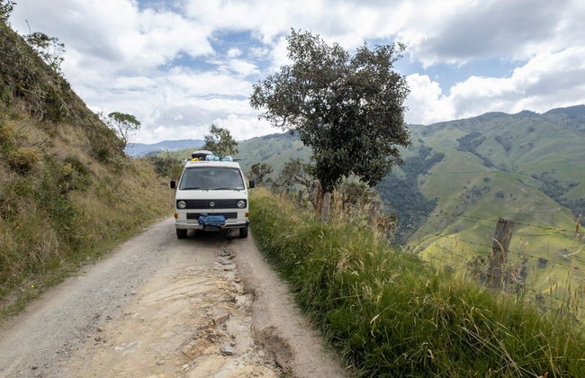 Toche Wax Palm Sanctuary Tour - Photo 5