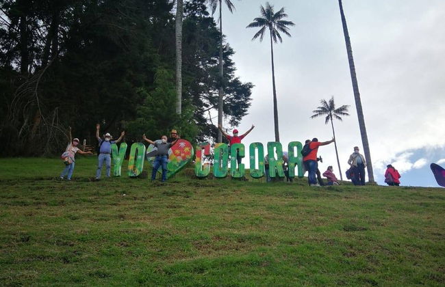 Excursión al santuario de palmas de cera de Toche - Foto 5