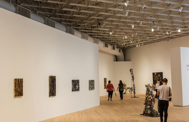 Houston Museum Pass - Foto 5