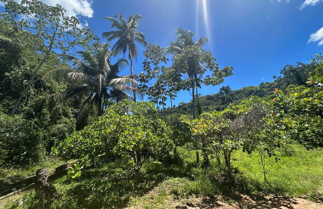Excursão a Delmiro Gouveia - Foto 9