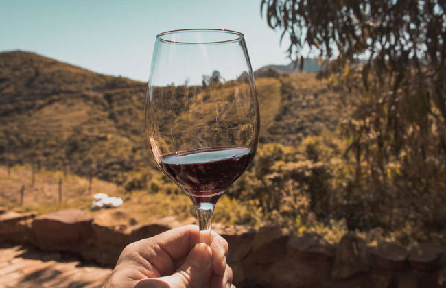 Escursione privata da Santa Cruz de la Sierra - Foto 5