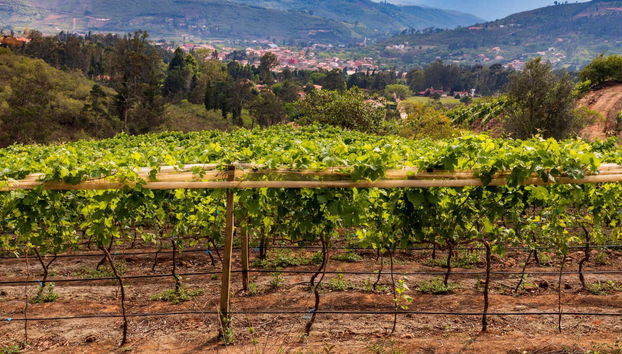 Fort Samaipata Day Trip - Foto 4