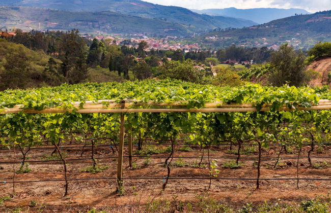 Escursione privata da Santa Cruz de la Sierra - Foto 6