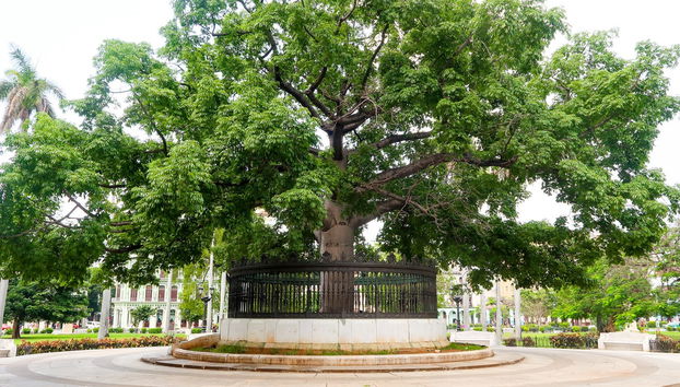 Tour privado por La Habana - Foto 5