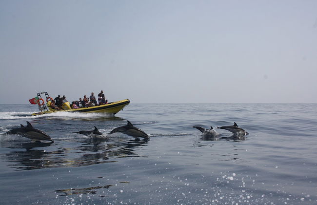Excursión a las cuevas del Algarve en lancha - Foto 4