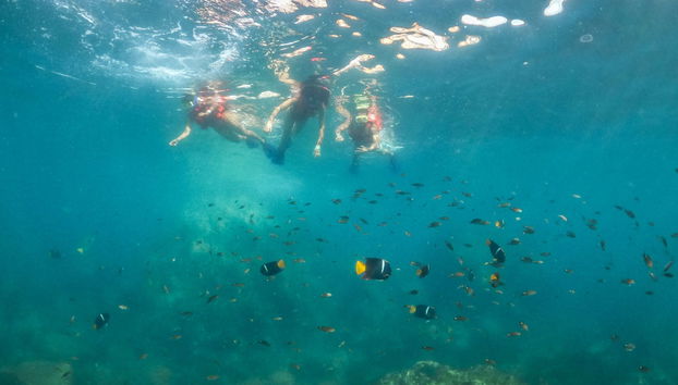 Escursione alle isole Marieta in catamarano - Foto 3