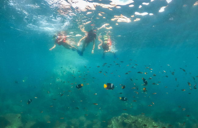 Marieta Islands Catamaran Tour - Photo 2