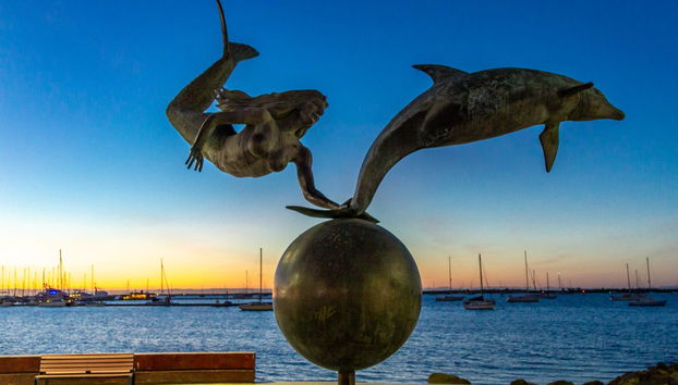 Escursione a La Paz, Tropico del Cancro e Todos Santos - Foto 2