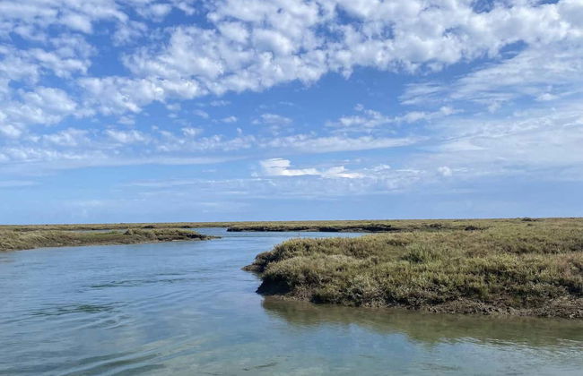 Paseo en barca ecológica por la Ría Formosa - Foto 14