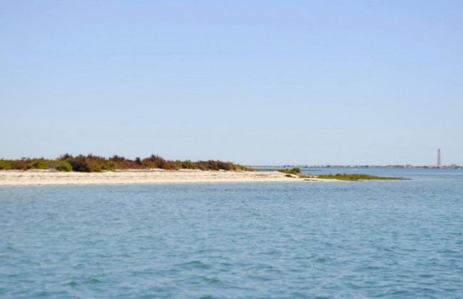 Paseo en barca ecológica por la Ría Formosa - Foto 5