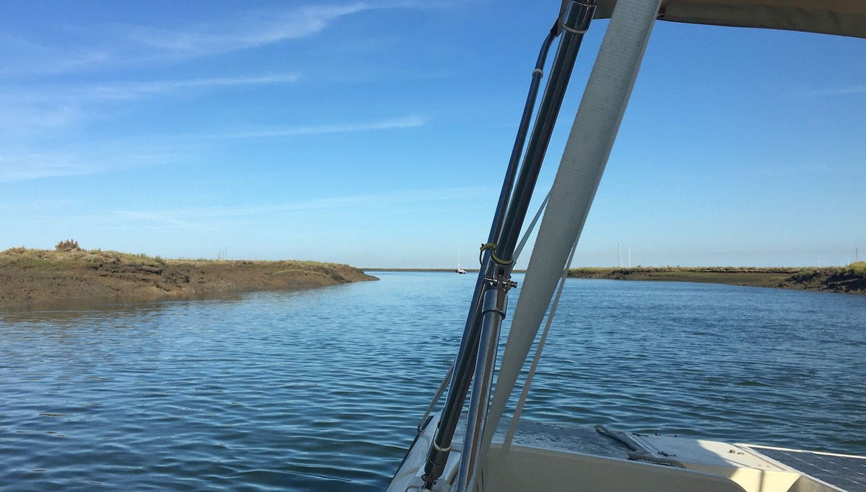 Tour di Ria Formosa su una barca ecologica - Foto 1