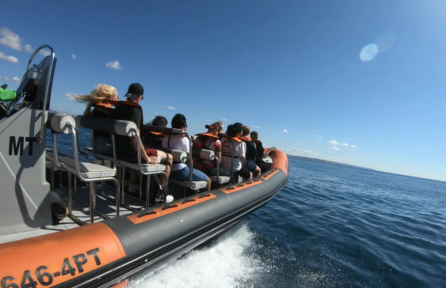 Tour in barca dell'Algarve e alla grotta di Benagil - Foto 5