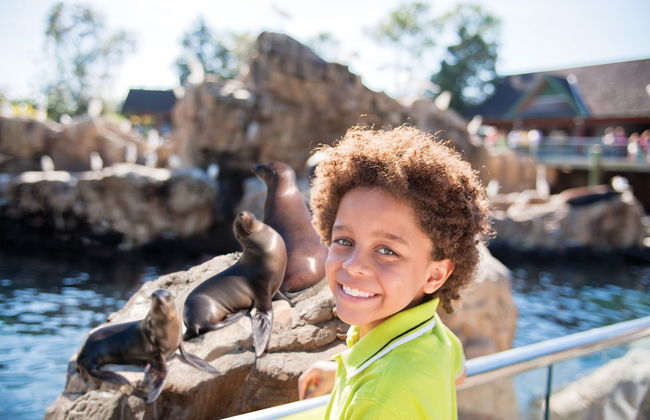 Billet pour SeaWorld San Diego - Photo 4