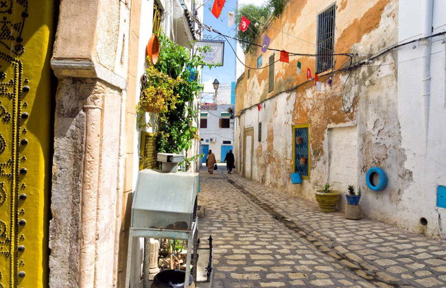 Tunis Medina & Bardo Museum Guided Tour - Photo 4