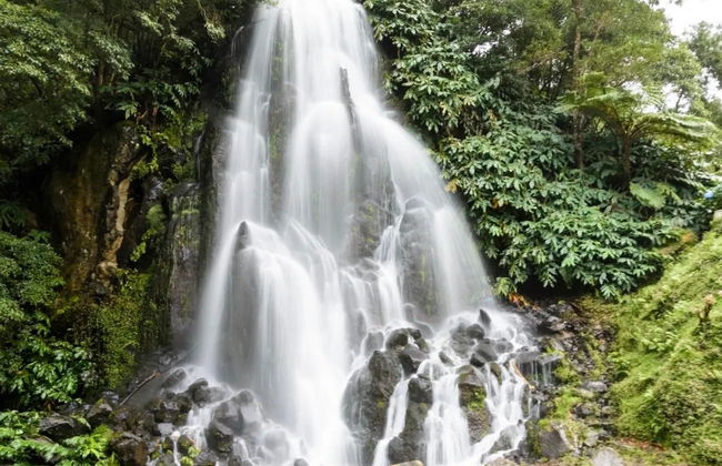 Excursión a Nordeste + Senderismo por Faial da Terra - Foto 5