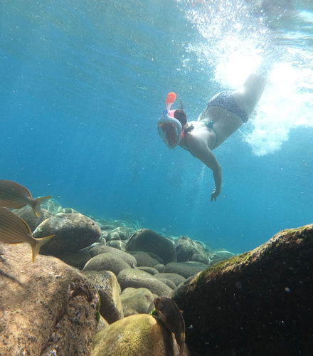 Foto - Escursione a Ponta de São Lourenço + Kayak e snorkeling