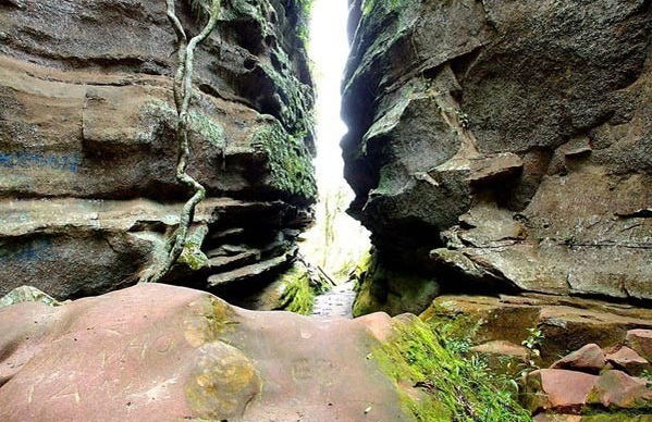 Lapa & Monge State Park Tour - Photo 5