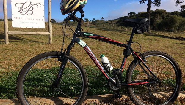 Villaggio Bassetti Vineyards Bike Tour - Photo 3