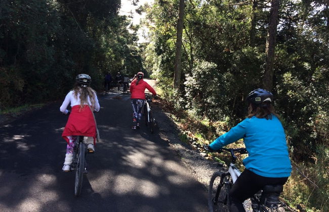 Tour en bicicleta por los viñedos de Villaggio Bassetti - Foto 3
