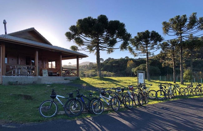 Tour en bicicleta por los viñedos de Villaggio Bassetti - Foto 7