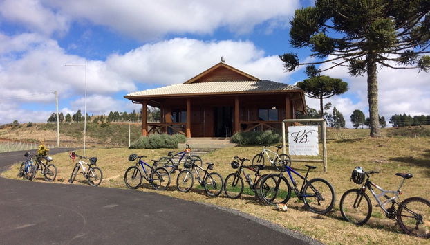 Villaggio Bassetti Vineyards Bike Tour - Photo 2