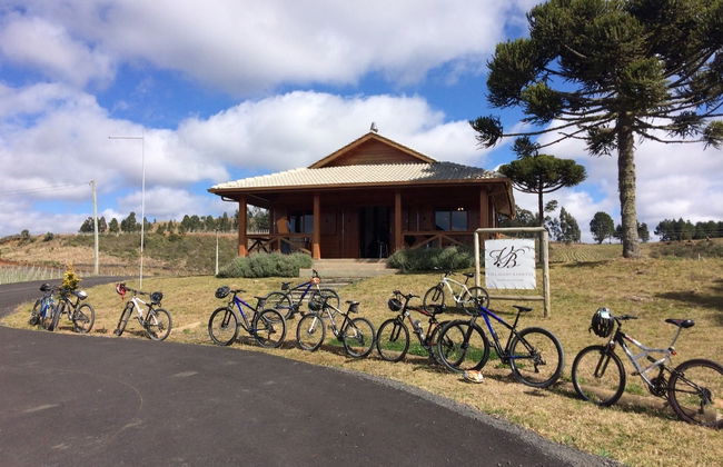 Tour en bicicleta por los viñedos de Villaggio Bassetti - Foto 4