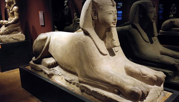 Visite guidée du musée Égyptien - Photo 2