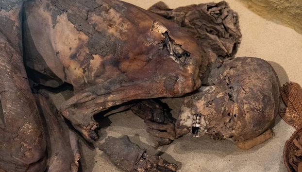 Visita guidata al Museo Egizio di Torino - Foto 3