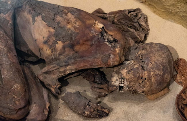 Turin Museo Egizio Tour - Foto 3