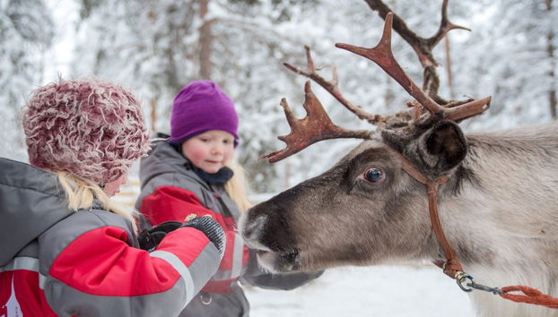 Tour completo di Rovaniemi - Foto 3