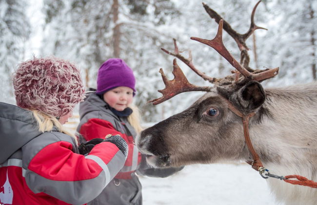 Visite complète de Rovaniemi - Photo 3
